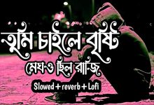 তুমি চাইলে বৃষ্টি মেঘও ছিল রাজি lyrics